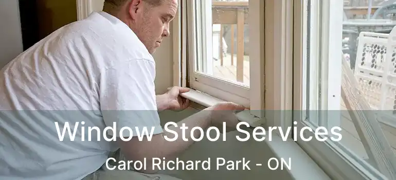  Window Stool Services Carol Richard Park - ON