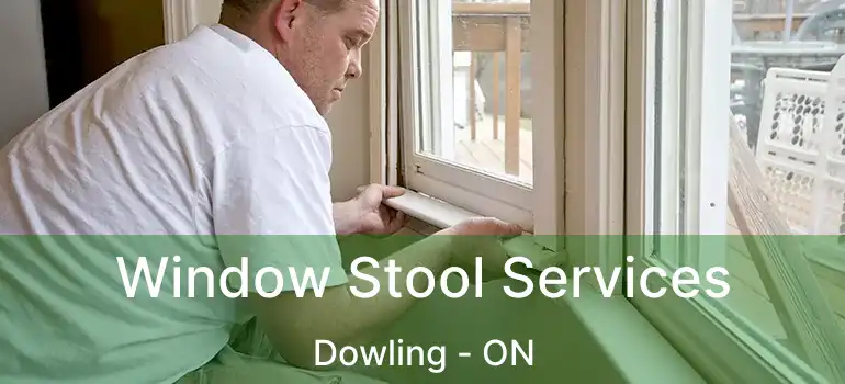  Window Stool Services Dowling - ON