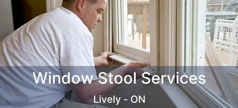  Window Stool Services Lively - ON