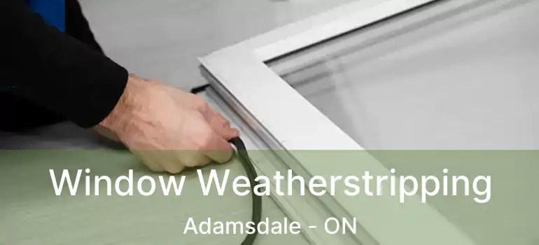  Window Weatherstripping Adamsdale - ON