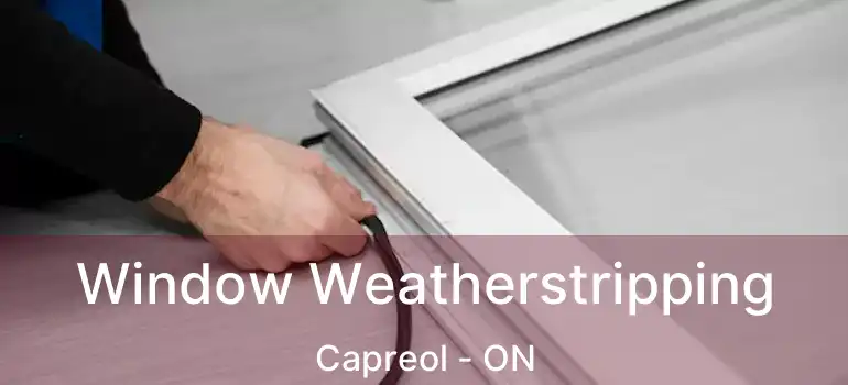  Window Weatherstripping Capreol - ON