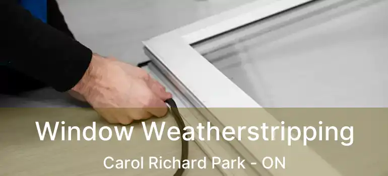  Window Weatherstripping Carol Richard Park - ON