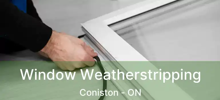  Window Weatherstripping Coniston - ON