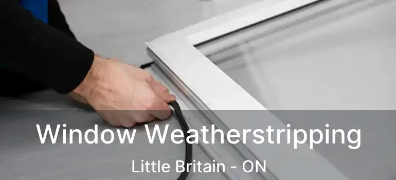  Window Weatherstripping Little Britain - ON