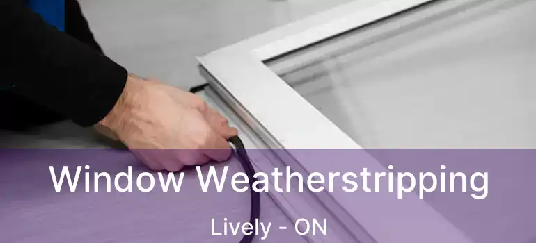  Window Weatherstripping Lively - ON