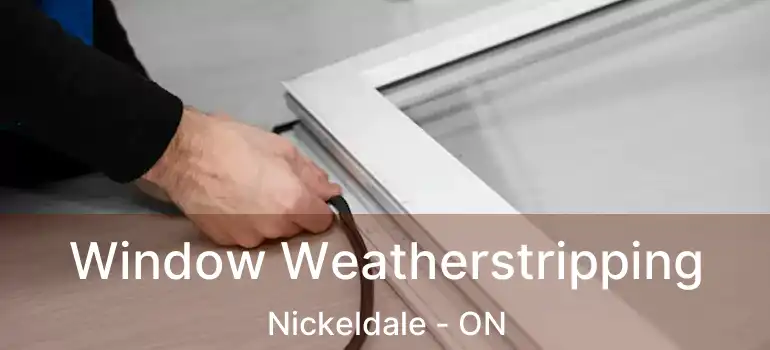  Window Weatherstripping Nickeldale - ON