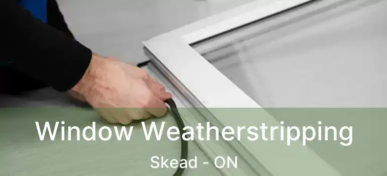  Window Weatherstripping Skead - ON