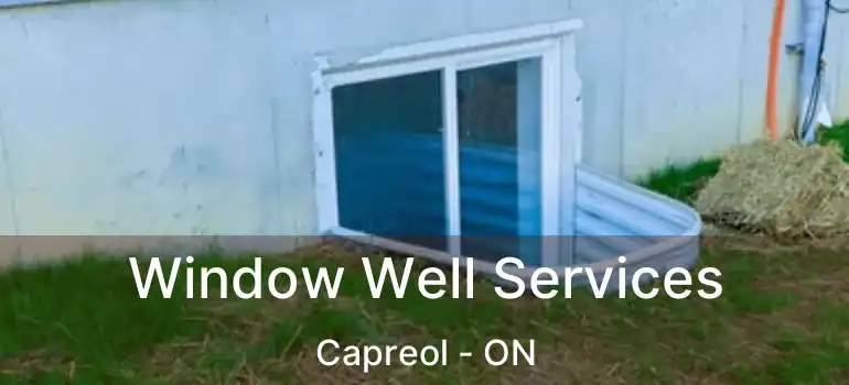  Window Well Services Capreol - ON