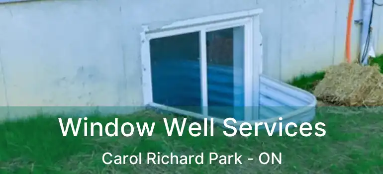  Window Well Services Carol Richard Park - ON