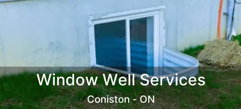  Window Well Services Coniston - ON