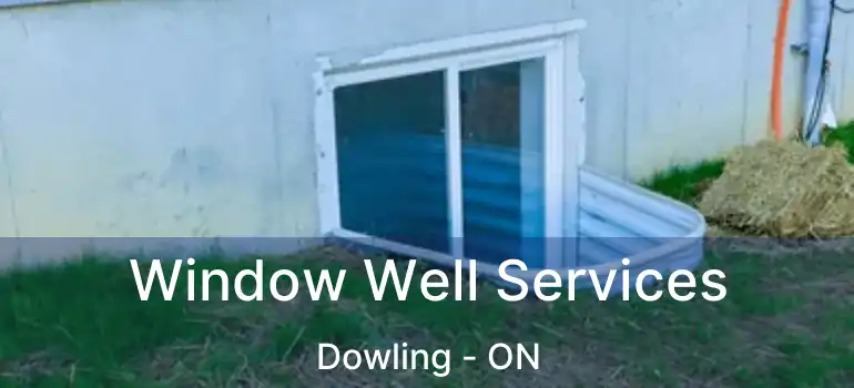  Window Well Services Dowling - ON