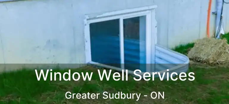 Window Well Services Greater Sudbury - ON