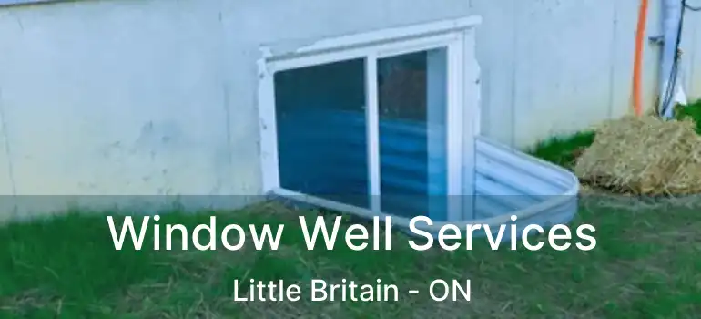  Window Well Services Little Britain - ON