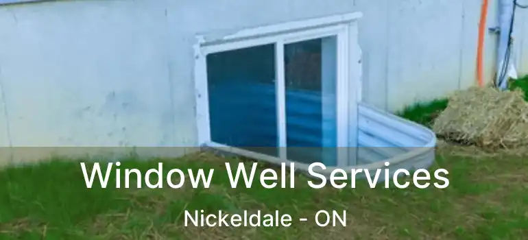  Window Well Services Nickeldale - ON