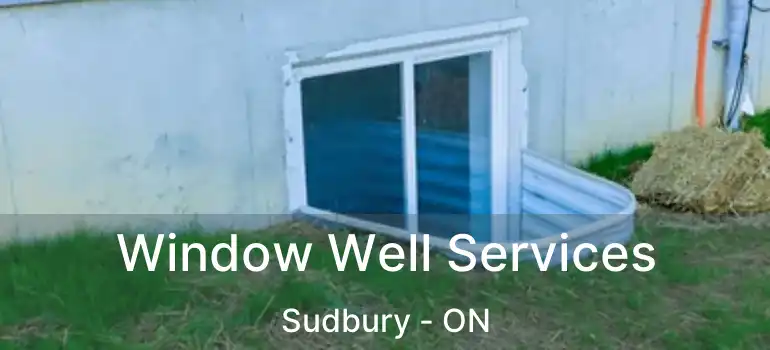  Window Well Services Sudbury - ON