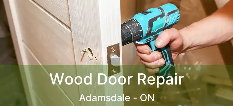  Wood Door Repair Adamsdale - ON