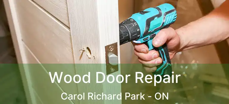  Wood Door Repair Carol Richard Park - ON