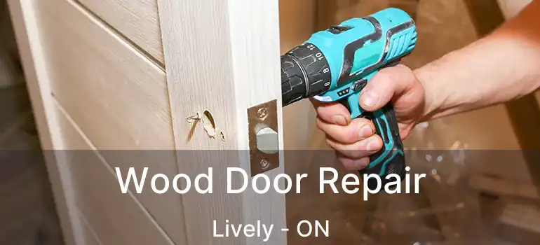  Wood Door Repair Lively - ON