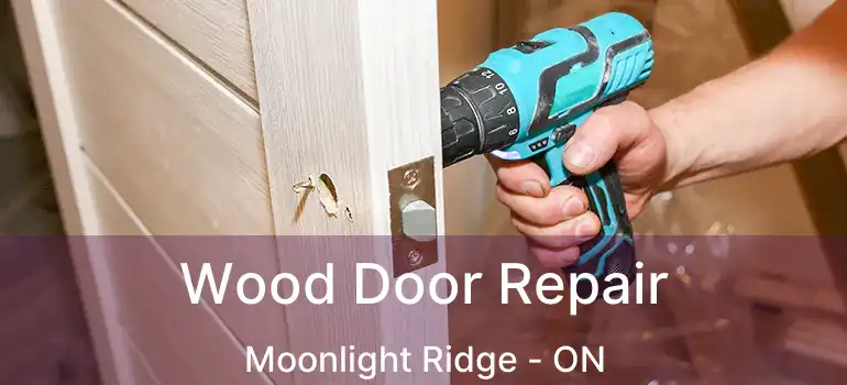  Wood Door Repair Moonlight Ridge - ON